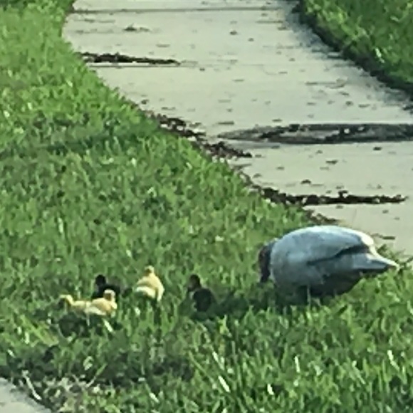 Meet your Posher, Heide - Picture 1 of 1